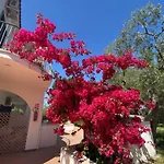 Apartahotel Alba 3*