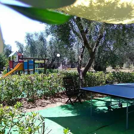 מלון דירות Alba