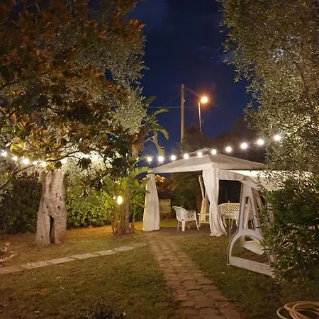 Alba *