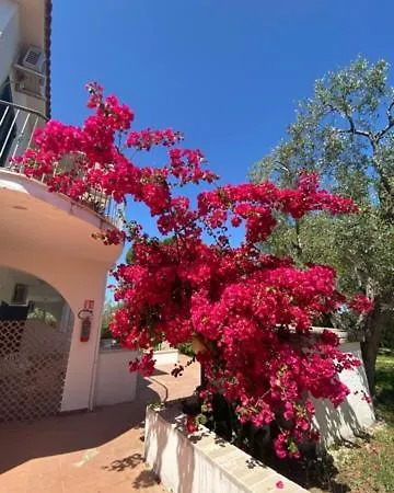 Aparthotel Alba *