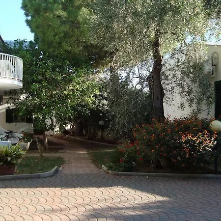 Alba ויאסטה
