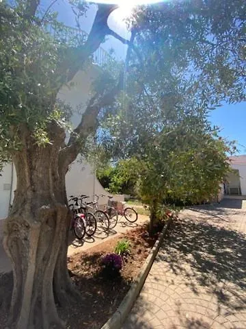 Alba Lejlighedshotel Vieste