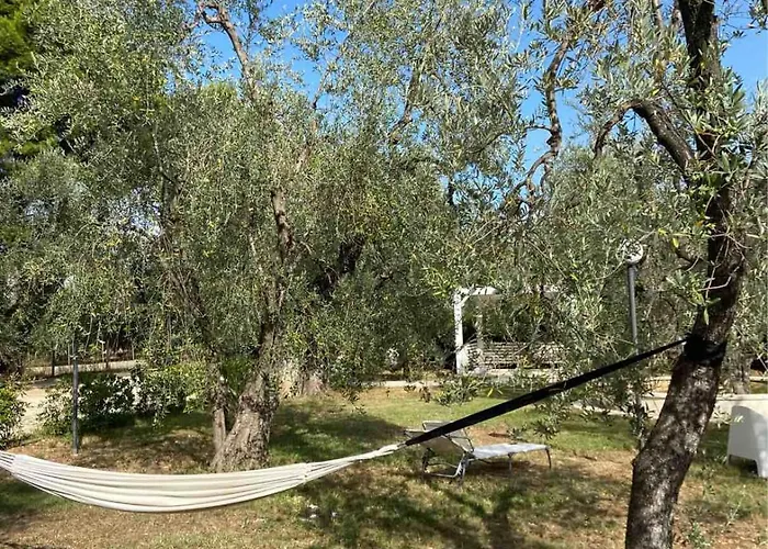 Aparthotel Alba