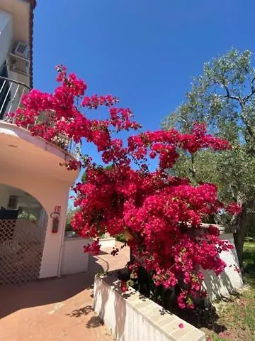 Lejlighedshotel Alba 4*